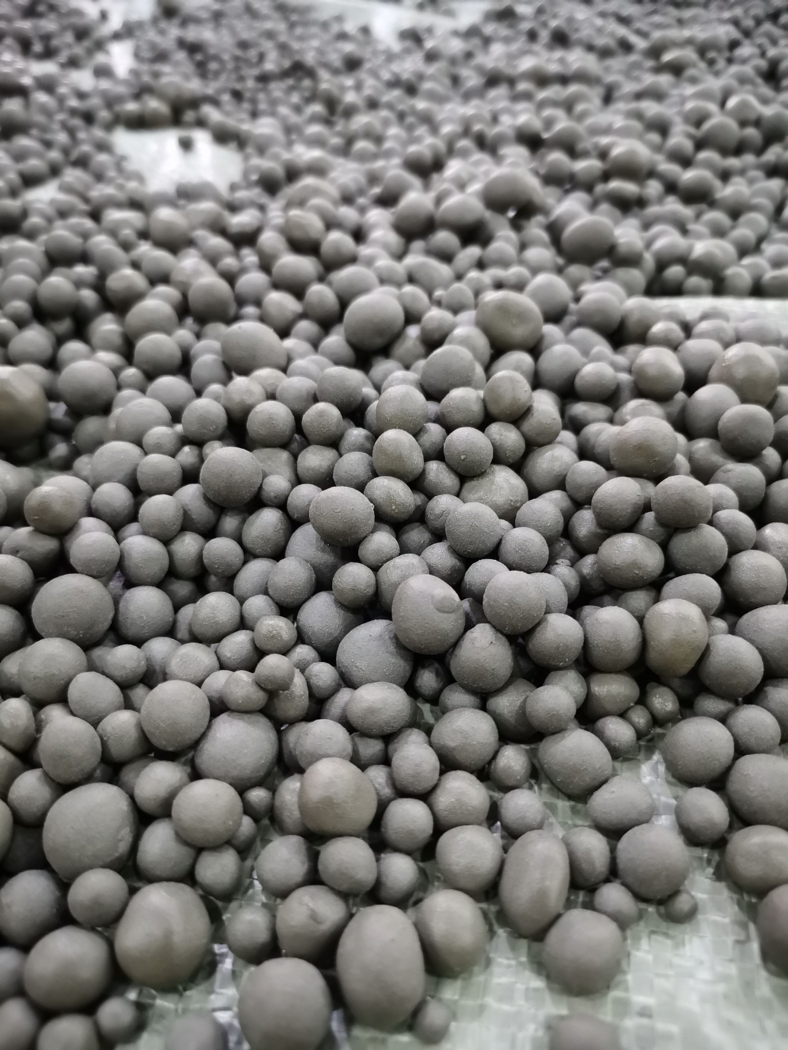 試制的陶粒樣品.jpg